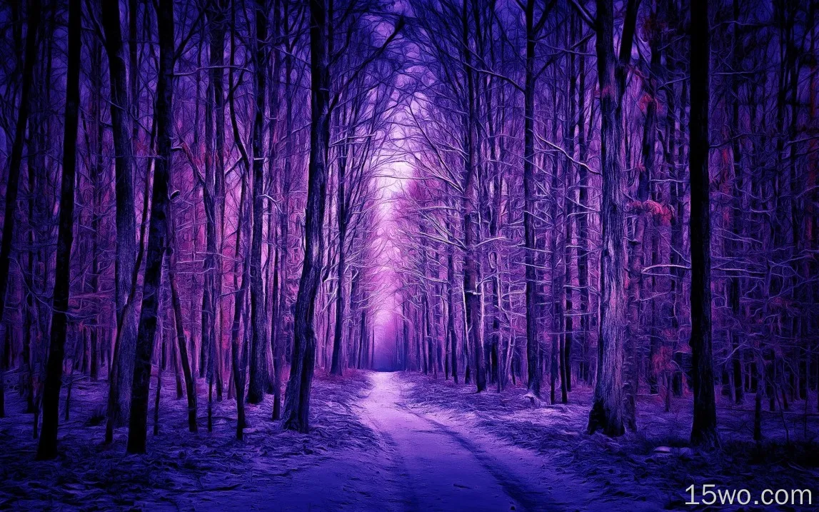 冬天，森林，雪，紫色风格，艺术