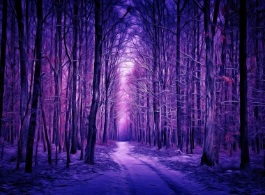 冬天，森林，雪，紫色风格，艺术 1920x1200