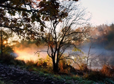 河，树，雾，早晨，秋天 1920x1200