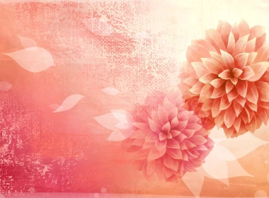 矢量图片，花，花瓣，花蕾，粉红色 1920x1200