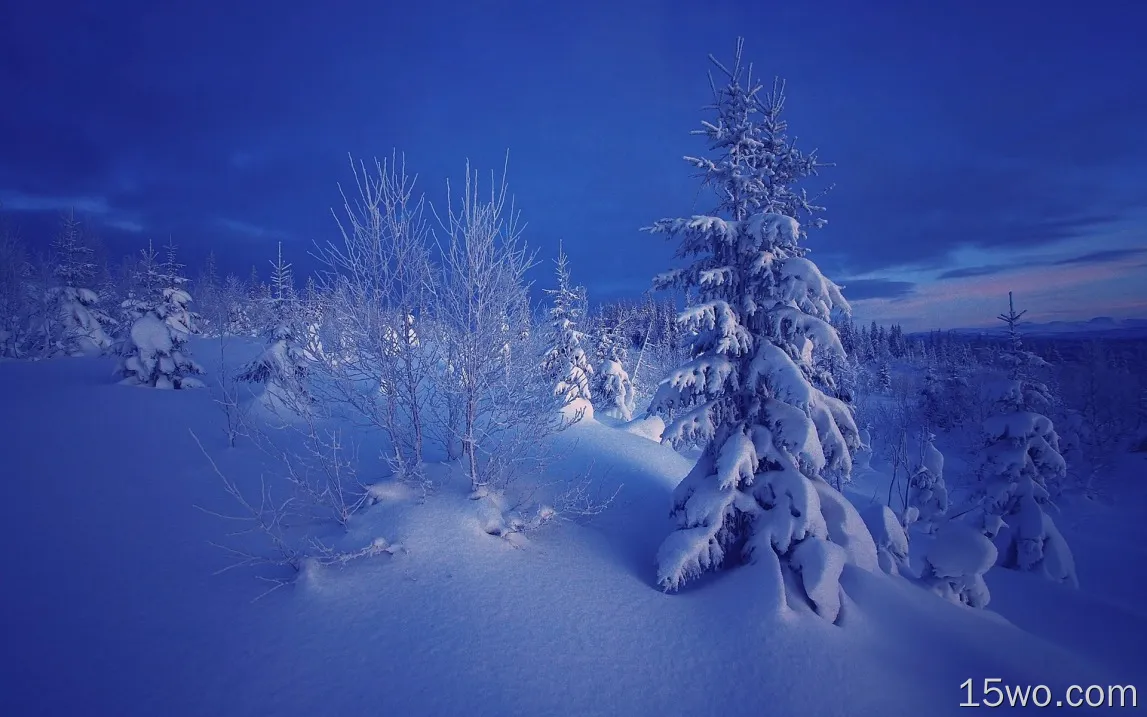 冬天，晚上，雪，树木，挪威