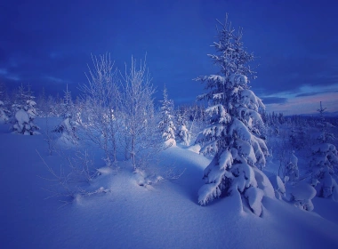 冬天，晚上，雪，树木，挪威 1920x1200