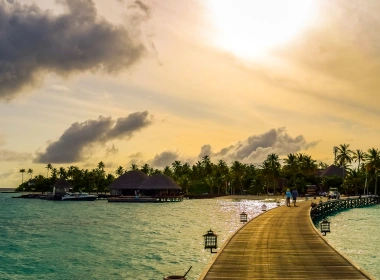 马尔代夫，热带，海洋，棕榈树，船，桥，房子 2560x1600