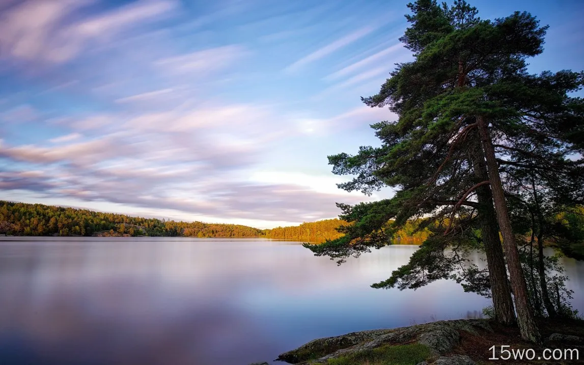 瑞典，湖泊，树木，自然景观