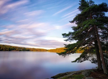 瑞典，湖泊，树木，自然景观 2880x1800