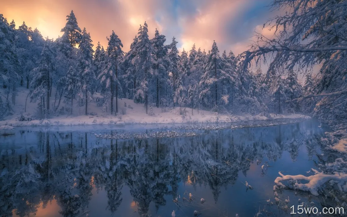 美丽的冬季自然景观，树木，雪，河，黄昏