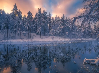 美丽的冬季自然景观，树木，雪，河，黄昏 1920x1200