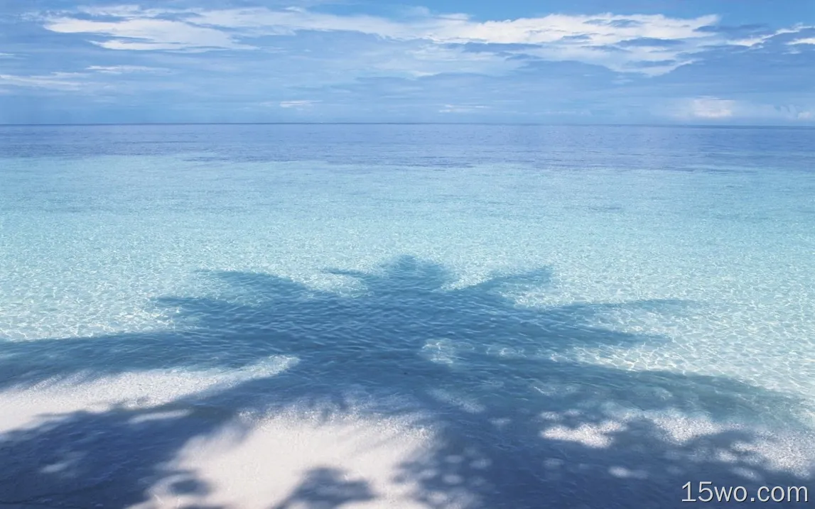 蓝色的大海，棕榈树的影子