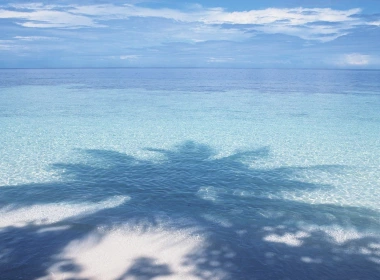 蓝色的大海，棕榈树的影子 1920x1200