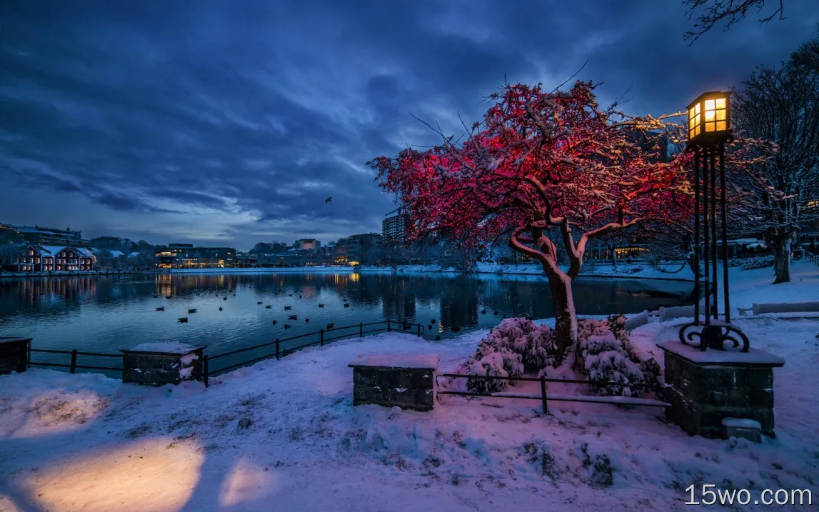 挪威罗加兰，斯塔万格，冬天，雪，晚上，灯光，城市，房子