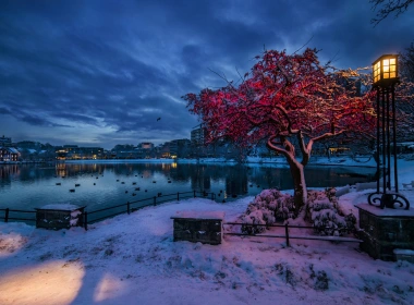 挪威罗加兰，斯塔万格，冬天，雪，晚上，灯光，城市，房子 1920x1200