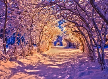 冬天，公园在晚上，雪，树，路，灯 1920x1200