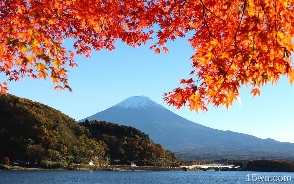 日本，富士山，秋天，红叶