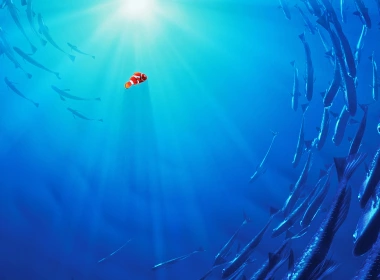 尼莫迪士尼动画电影《海洋插画》艺术蓝 3840x2400