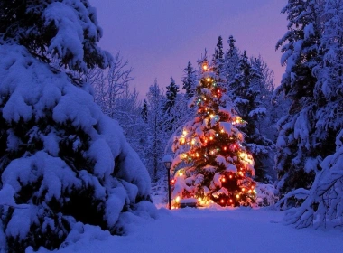 节日 圣诞节 Christmas Tree Christmas Lights Evening 高清壁纸 3840x2160