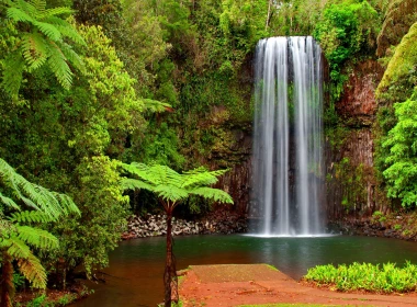 自然 瀑布 地球 树 绿色 热带 高清壁纸 3840x2160