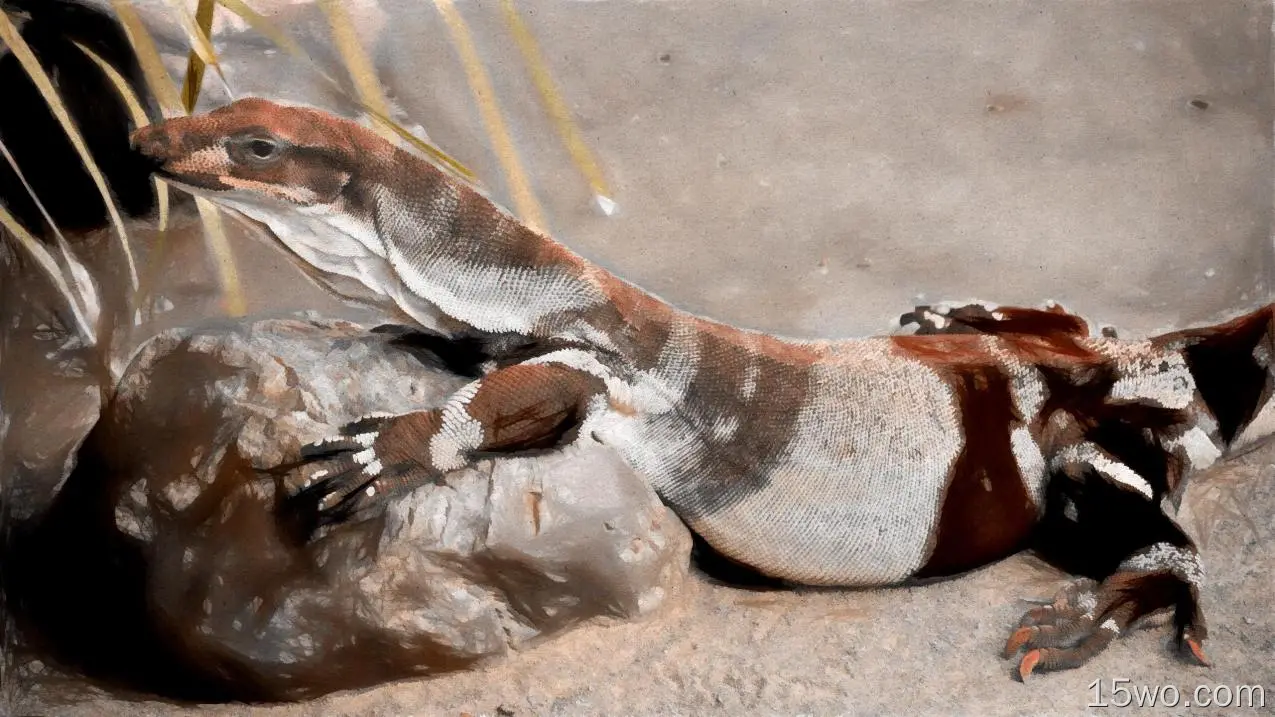 动物 Monitor Lizard 爬行动物 蜥蜴 艺术 Brown 高清壁纸