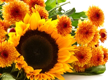 向日葵和菊花，黄色的花朵 3840x2160