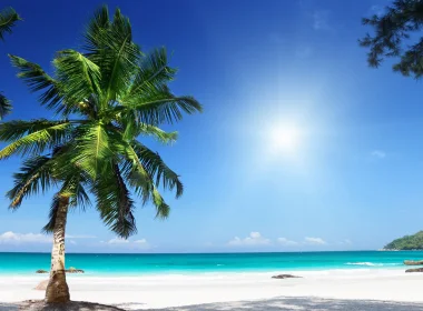 自然 棕榈 地球 海滩 热带 海洋 Horizon 高清壁纸 3840x2160