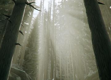 长树、森林、薄雾  3440x1440