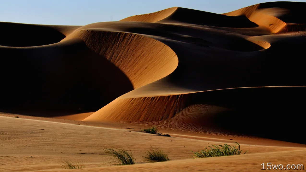 自然 沙漠 高清壁纸