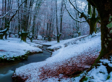 自然 冬季 大自然 溪流 森林 Snow 高清壁纸 3840x2160