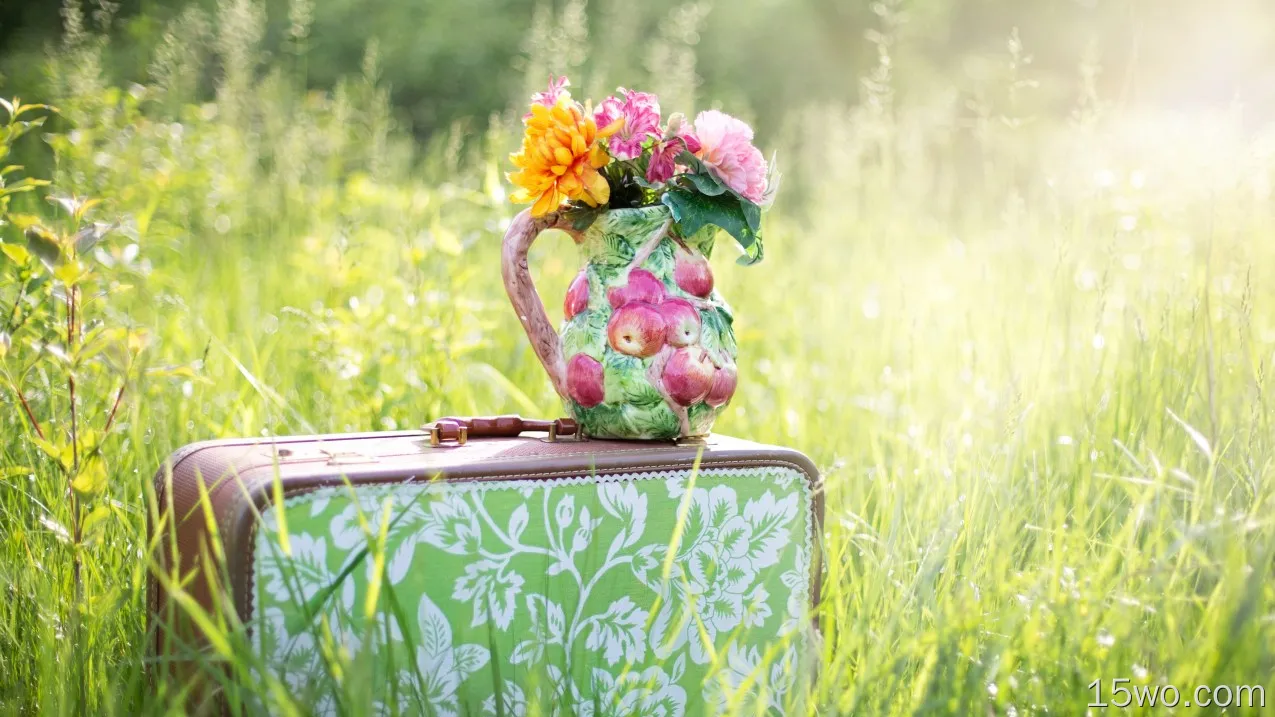 手提箱，鲜花，花瓶，草