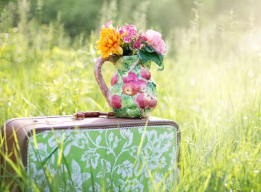 手提箱，鲜花，花瓶，草 5120x2880