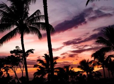 自然 棕榈 热带 日落 日出 天空 云 高清壁纸 3840x2160