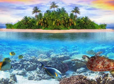 自然 Underwater Maldives Reef 岛屿 龟 鱼 高清壁纸 3840x2160