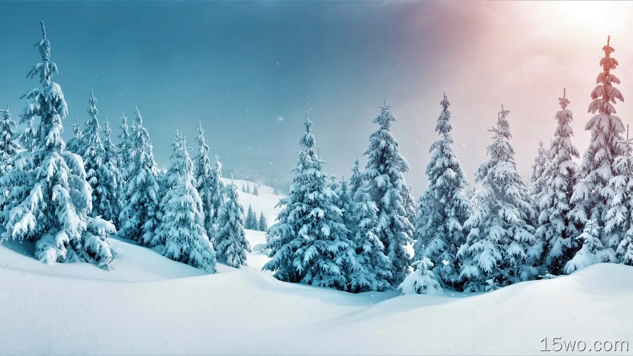 冬天,性质,落叶松,自然景观,斜坡,壁纸,5120x2880