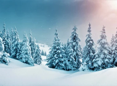 冬天,性质,落叶松,自然景观,斜坡,壁纸,5120x2880 5120x2880