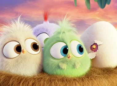 电影 The Angry Birds Movie 愤怒的小鸟 高清壁纸 3840x2160