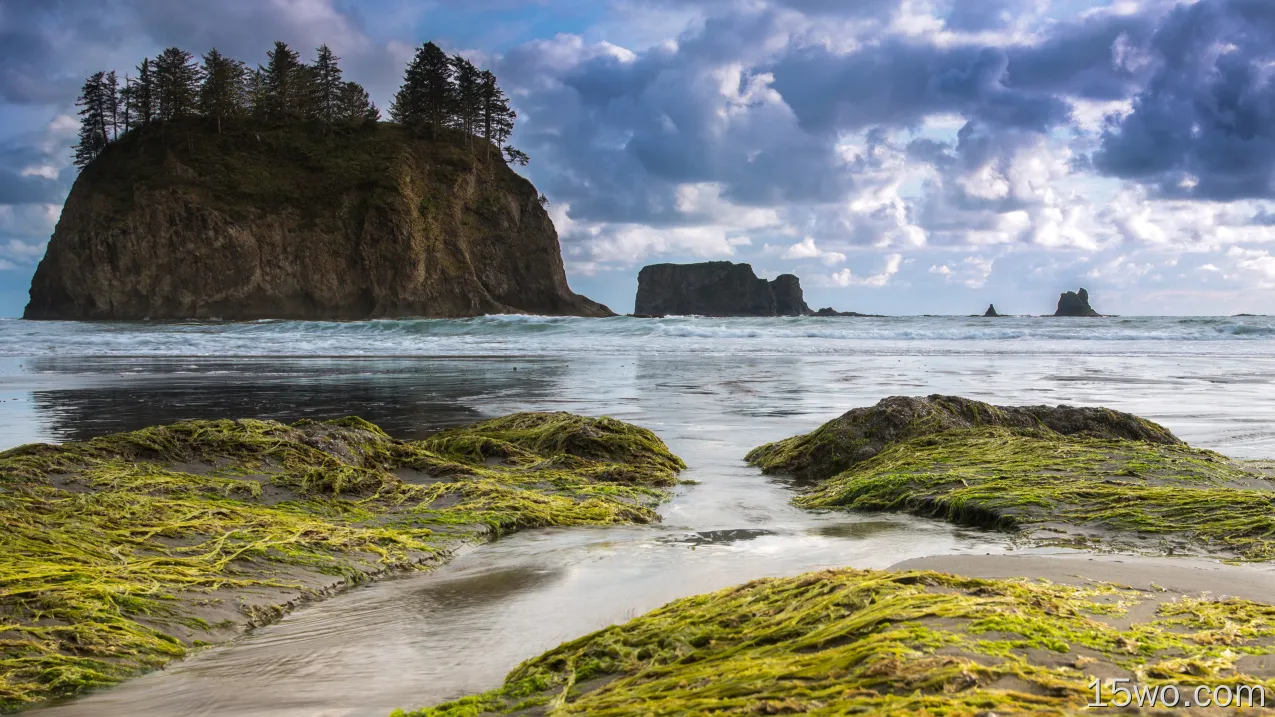 自然 海洋 地球 岩石 树 Sea 云 Olympic National Park Washington USA 高清壁纸