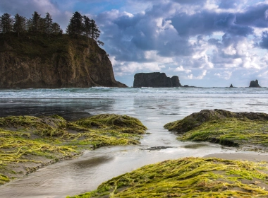 自然 海洋 地球 岩石 树 Sea 云 Olympic National Park Washington USA 高清壁纸 3840x2160
