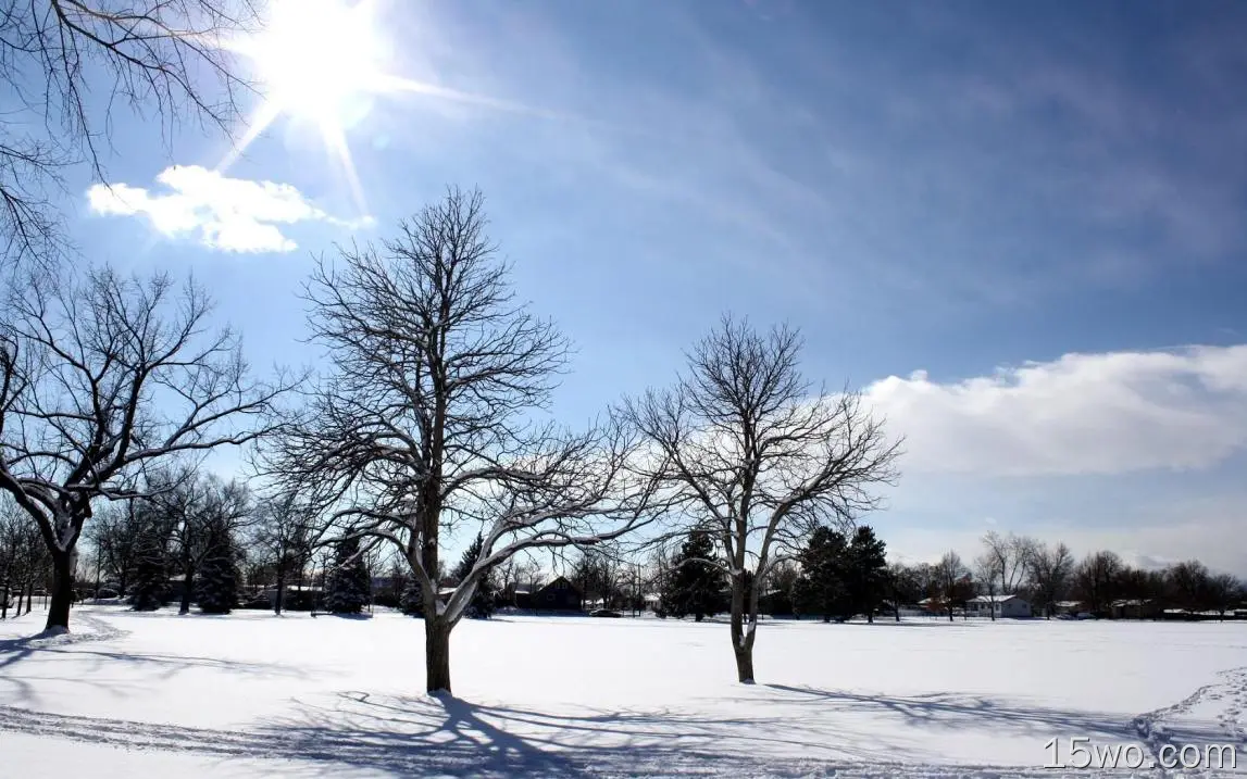 自然 冬季 地球 Snow 树 阳光 高清壁纸