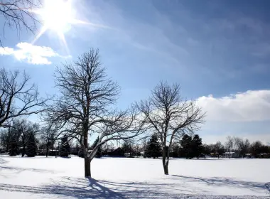 自然 冬季 地球 Snow 树 阳光 高清壁纸 1680x1050
