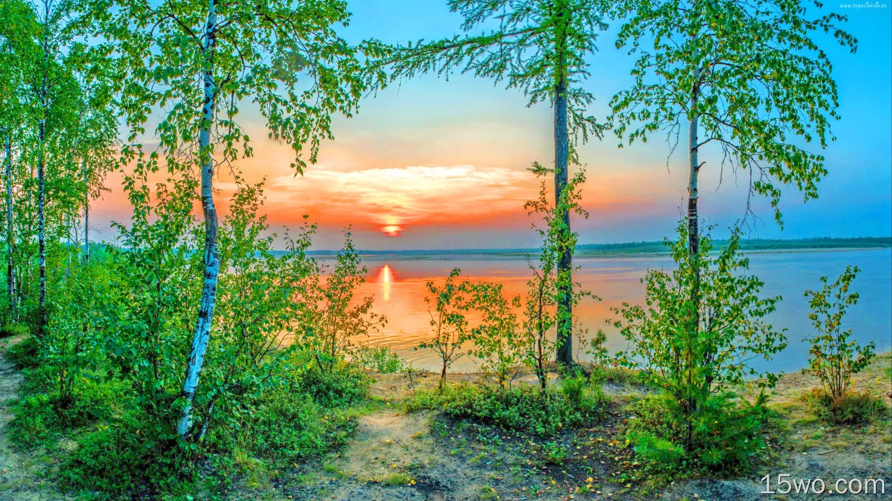 自然 湖泊 地球 日落 桦树 树 天空 高清壁纸