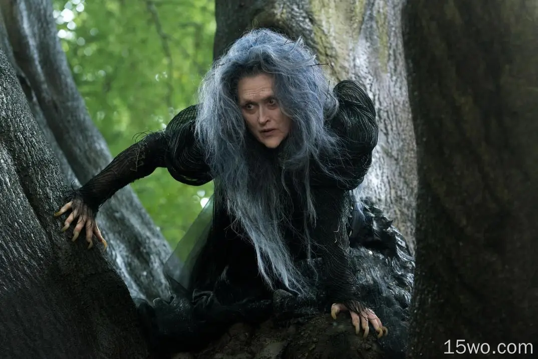 电影 Into The Woods (2014) Into The Woods 女巫 Meryl Streep 高清壁纸