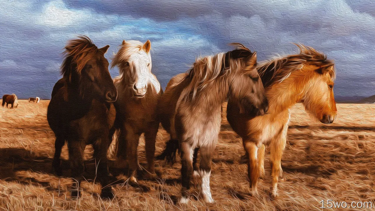 动物 马 Pony 艺术 高清壁纸