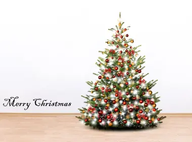 节日 圣诞节 Merry Christmas Christmas Tree 高清壁纸 2560x1706