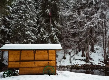 小屋、森林、雪、冬天、树木、心情 6000x4000