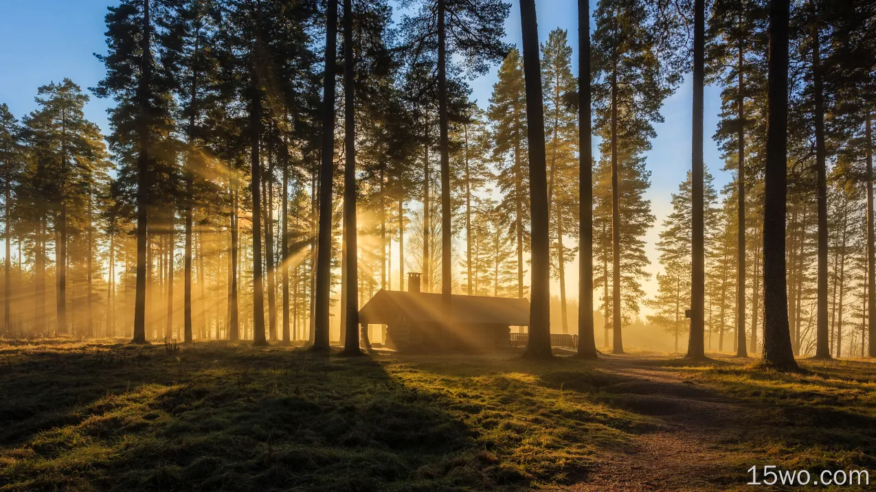 摄影 Sunbeam 木屋 森林 大自然 树 阳光 高清壁纸