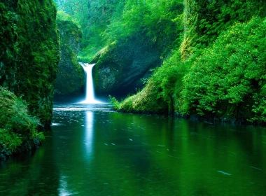 自然 瀑布 森林 水 Greenery 大自然 高清壁纸 2560x1920