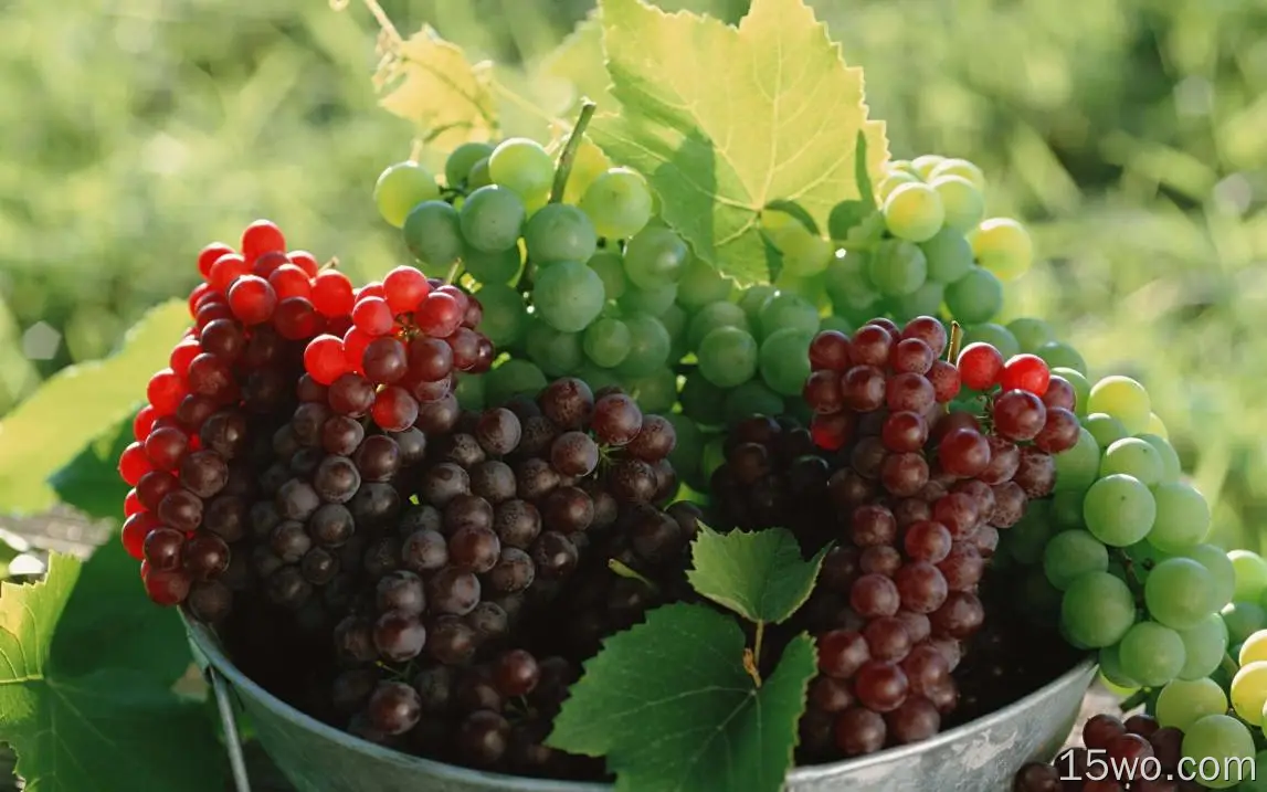 葡萄、红色和绿色、水果、树叶、模糊