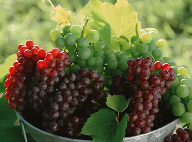 葡萄、红色和绿色、水果、树叶、模糊 2880x1800