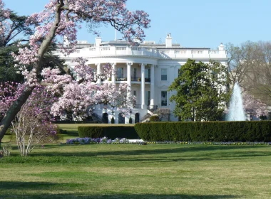 人造 White House 纪念建筑 USA America 高清壁纸 3840x2160