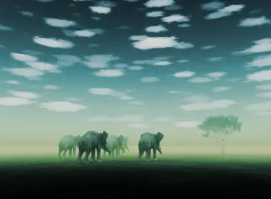 大象家族，雾，野生 3200x2400