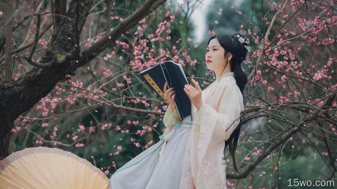 漂亮的中国女孩，粉红色的梅花，书