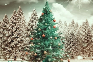 节日 圣诞节 Christmas Tree 高清壁纸  3000x2500